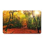 Forest Woods Autumn Nature Magnet (Rectangular)