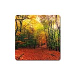 Forest Woods Autumn Nature Square Magnet