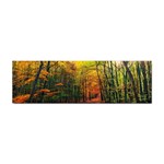 Forest Woods Autumn Nature Sticker Bumper (10 pack)