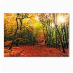 Forest Woods Autumn Nature Postcard 4 x 6  (Pkg of 10)