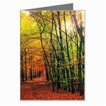 Forest Woods Autumn Nature Greeting Card