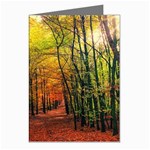 Forest Woods Autumn Nature Greeting Cards (Pkg of 8)