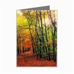 Forest Woods Autumn Nature Mini Greeting Card