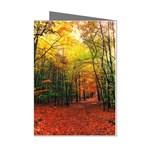 Forest Woods Autumn Nature Mini Greeting Cards (Pkg of 8)