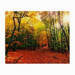 Forest Woods Autumn Nature Small Glasses Cloth