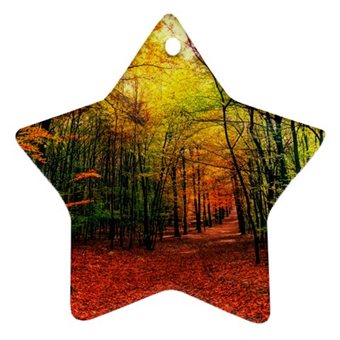 Forest Woods Autumn Nature Star Ornament (Two Sides) from ArtsNow.com Front