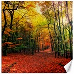 Forest Woods Autumn Nature Canvas 16  x 16 