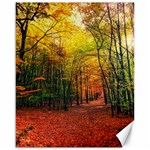 Forest Woods Autumn Nature Canvas 16  x 20 