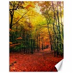 Forest Woods Autumn Nature Canvas 18  x 24 