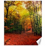 Forest Woods Autumn Nature Canvas 20  x 24 