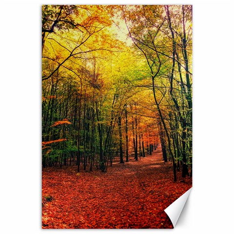 Forest Woods Autumn Nature Canvas 24  x 36  from ArtsNow.com 23.35 x34.74  Canvas - 1