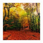 Forest Woods Autumn Nature Medium Glasses Cloth