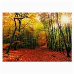 Forest Woods Autumn Nature Large Glasses Cloth