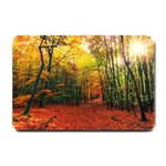 Forest Woods Autumn Nature Small Doormat