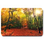 Forest Woods Autumn Nature Large Doormat