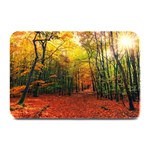 Forest Woods Autumn Nature Plate Mats