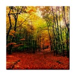 Forest Woods Autumn Nature Face Towel