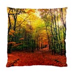 Forest Woods Autumn Nature Standard Cushion Case (Two Sides)