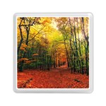 Forest Woods Autumn Nature Memory Card Reader (Square)