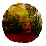 Forest Woods Autumn Nature Large 18  Premium Round Cushions