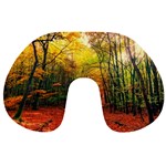 Forest Woods Autumn Nature Travel Neck Pillow