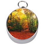 Forest Woods Autumn Nature Silver Compasses