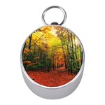 Forest Woods Autumn Nature Mini Silver Compasses