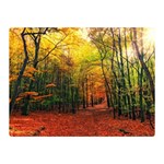 Forest Woods Autumn Nature Two Sides Premium Plush Fleece Blanket (Mini)