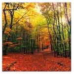 Forest Woods Autumn Nature Square Satin Scarf (36  x 36 )