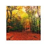 Forest Woods Autumn Nature Square Satin Scarf (30  x 30 )