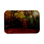 Forest Woods Autumn Nature Open Lid Metal Box (Silver)  