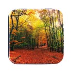 Forest Woods Autumn Nature Square Metal Box (Black)