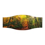 Forest Woods Autumn Nature Stretchable Headband