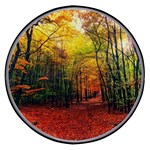 Forest Woods Autumn Nature Wireless Fast Charger(Black)