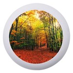 Forest Woods Autumn Nature Dento Box with Mirror