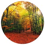 Forest Woods Autumn Nature Round Trivet