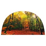 Forest Woods Autumn Nature Anti Scalding Pot Cap