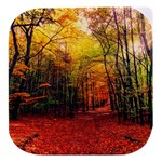 Forest Woods Autumn Nature Stacked food storage container