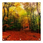 Forest Woods Autumn Nature Banner and Sign 3  x 3 