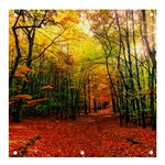 Forest Woods Autumn Nature Banner and Sign 4  x 4 