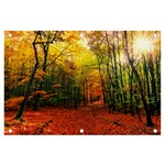 Forest Woods Autumn Nature Banner and Sign 6  x 4 