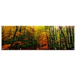 Forest Woods Autumn Nature Banner and Sign 12  x 4 