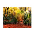 Forest Woods Autumn Nature Premium Plush Fleece Blanket (Mini)