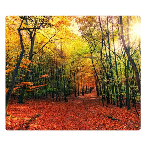 Forest Woods Autumn Nature Premium Plush Fleece Blanket (Small) from ArtsNow.com 50 x40  Blanket Front