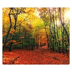 Forest Woods Autumn Nature Premium Plush Fleece Blanket (Small)