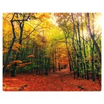 Forest Woods Autumn Nature Premium Plush Fleece Blanket (Medium)