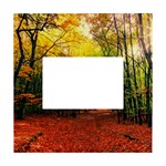 Forest Woods Autumn Nature White Box Photo Frame 4  x 6 