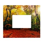 Forest Woods Autumn Nature White Wall Photo Frame 5  x 7 