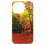 Forest Woods Autumn Nature iPhone 14 Pro Max Black UV Print Case