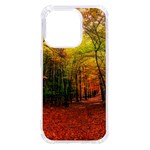 Forest Woods Autumn Nature iPhone 14 Pro TPU UV Print Case